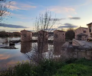 Acenas de Olivares