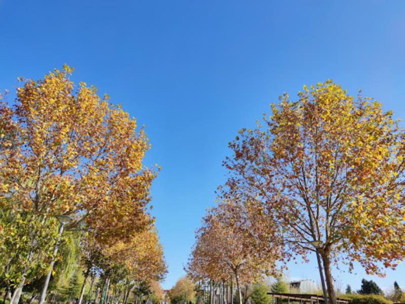 Parque Norte Patrimonial