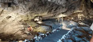 Cuevas de Pinar