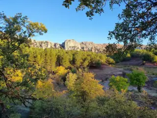 Las Mimbres