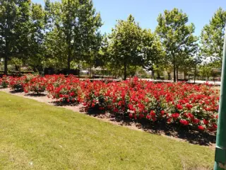 Padre Pacífico Park