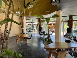 Camping Camaleón