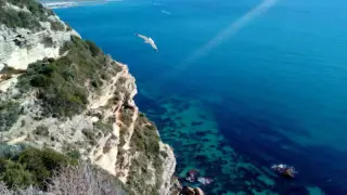 Barbate Pinar de la Brena