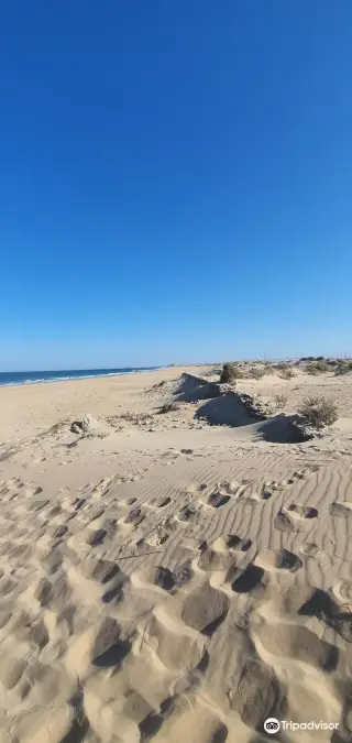 Playa del Chato