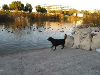 Laguna De Torrox