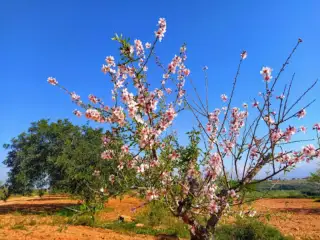 Espacio Finca Alegría