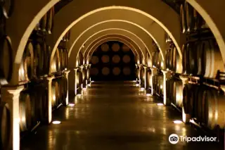 Bodegas Luzon
