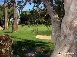 Club De Golf Torrepacheco