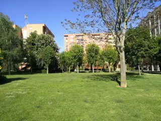Parque Poligono X