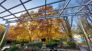 Juan Morano Park