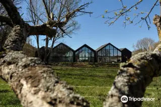 Fundacion Cerezales Antonino y Cinia