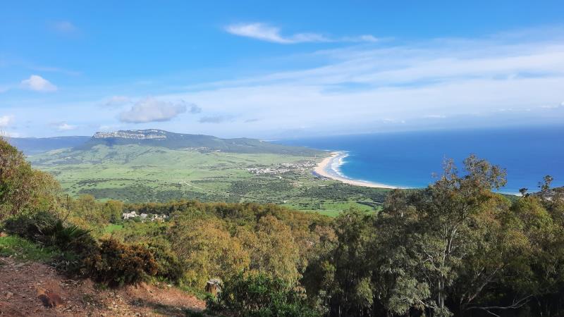Birding Tarifa