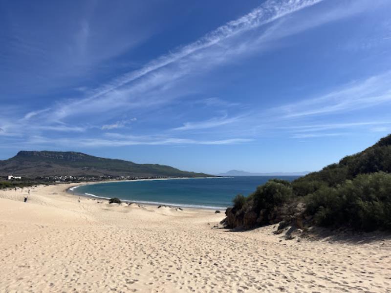 Alto de la duna de la playa de Bolonia.