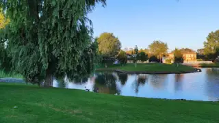 Lago de los patos de Guadacorte