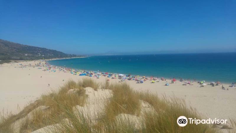 Punta Paloma