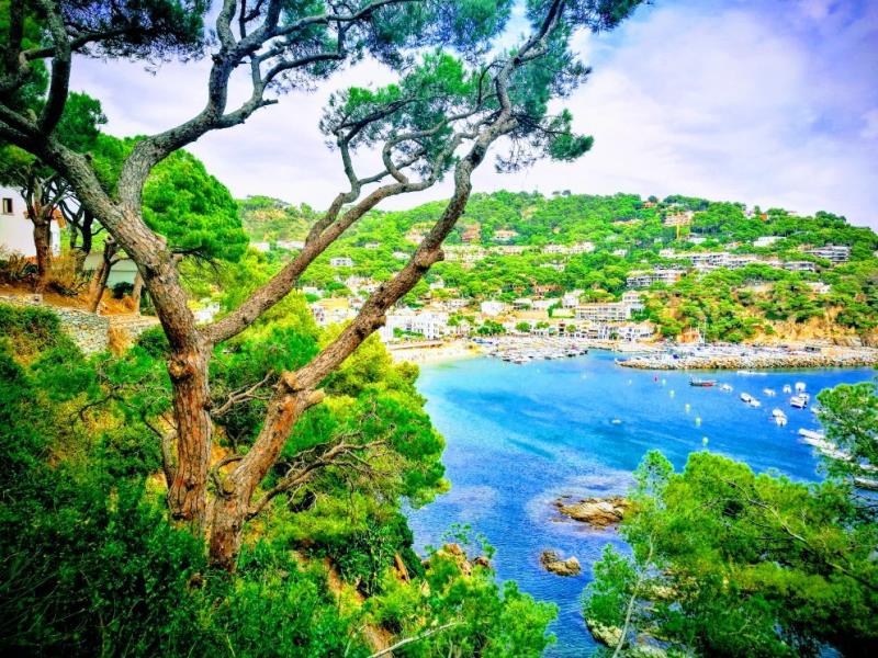 La playa de Tamariu