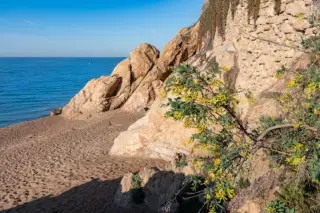 Platja del Garbí