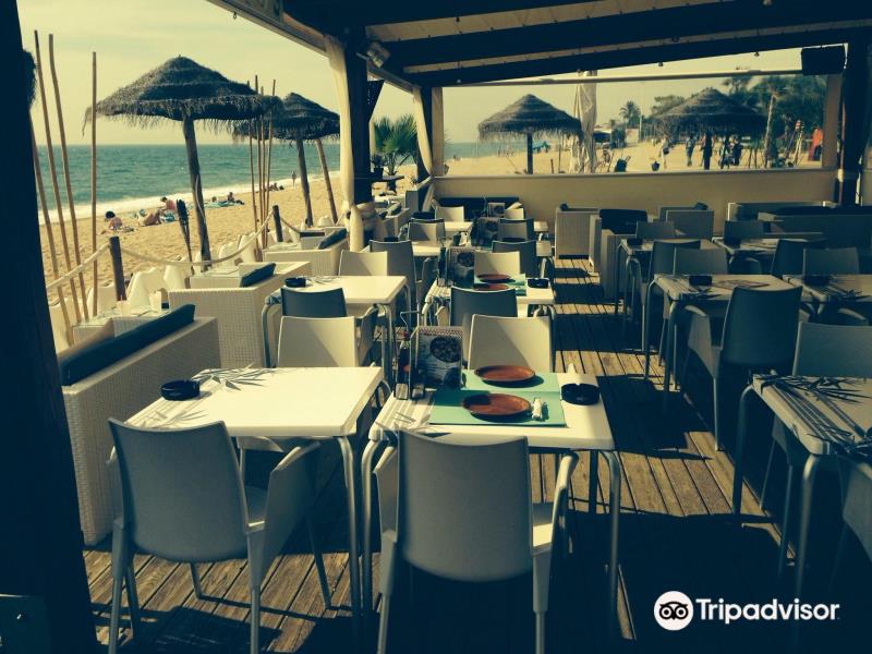 Tiare Beach Bar