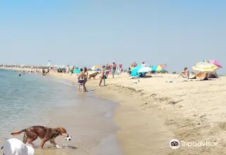 Playa la Rubina
