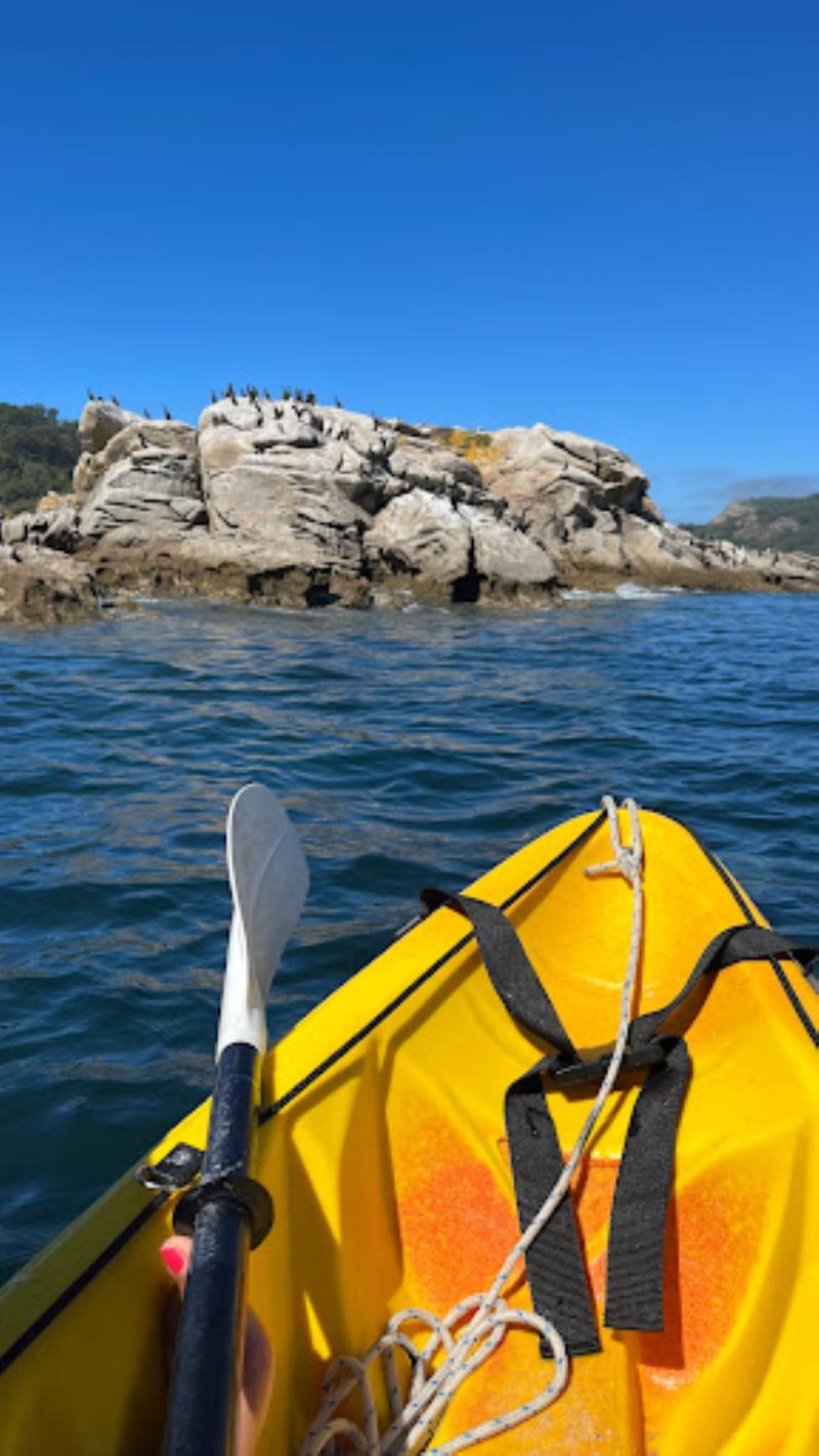 Kayak Ycies