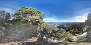 Mirador de la Figuerassa