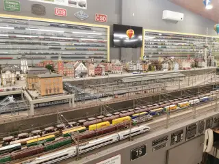 Railhome Bcn Igualada