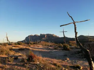El Bosc de les Creus
