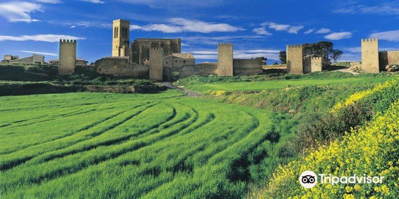 El Cerco de Artajona