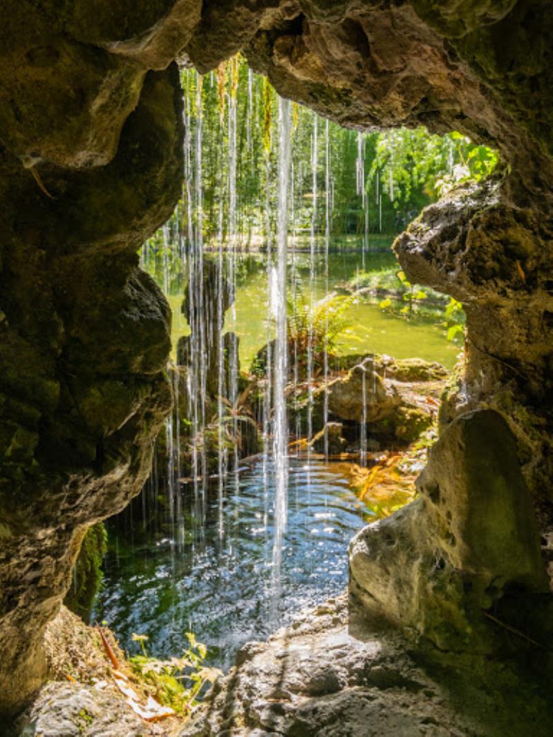 Garden of Bertiz Lordship Natural Park