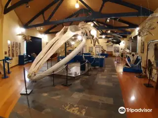 费罗尔自然历史博物馆