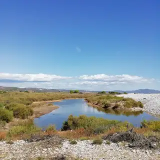 Parc Natural del Prat de Cabanes-Torreblanca