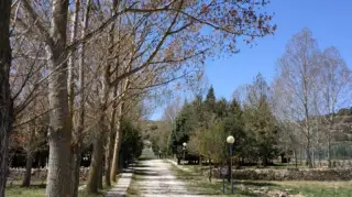 Camping El Llosar