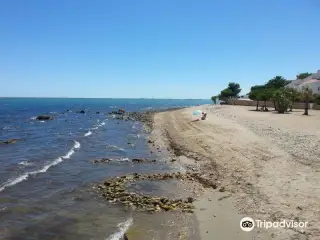 Playa Baconé