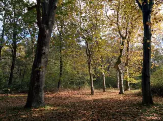 Parque de la Manguilla