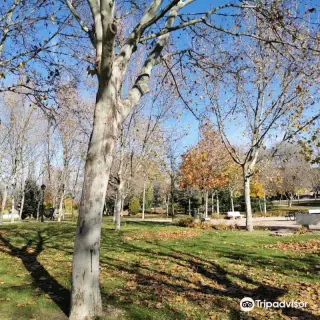 Parque de la Laguna del Carrizal