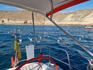 Ivo Yacht Tenerife