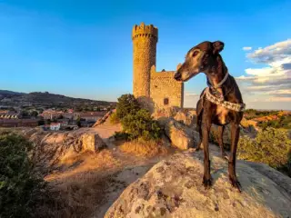 Watchtower of Torrelodones