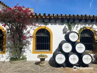Bodegas Fernando De Castilla