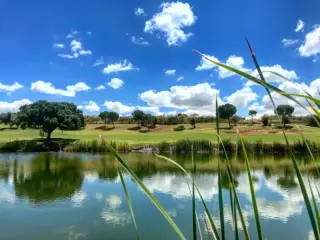 Club de Golf Hato Verde