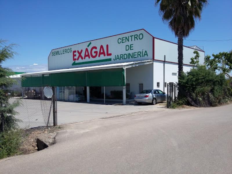 Exagal