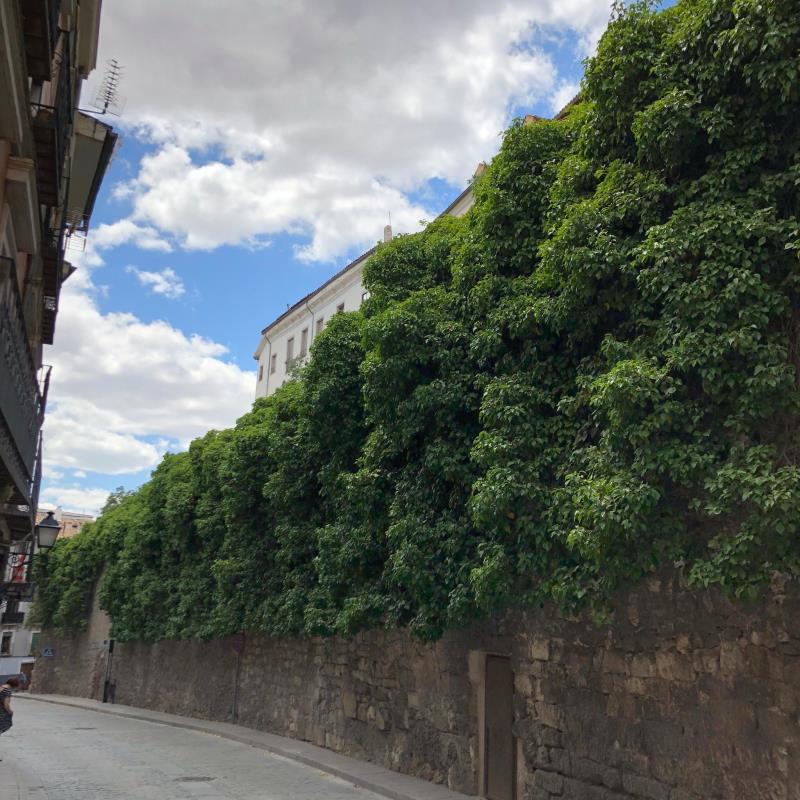 Tunel de Alfonso VIII