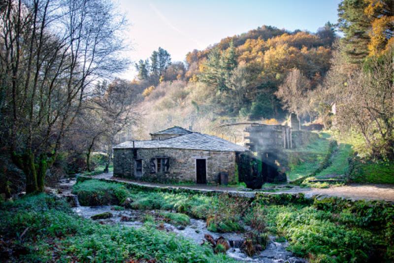 Mazo de Mazonovo