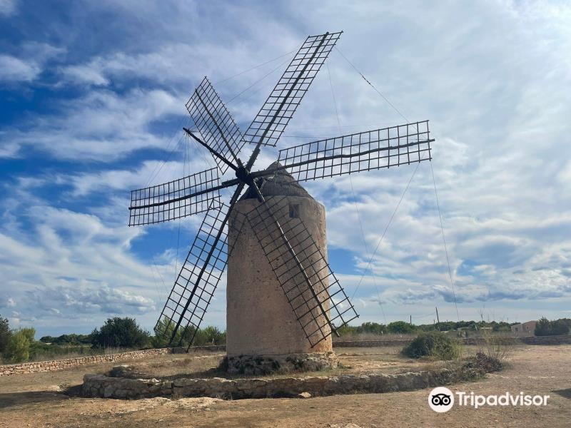 La Mola Windmill