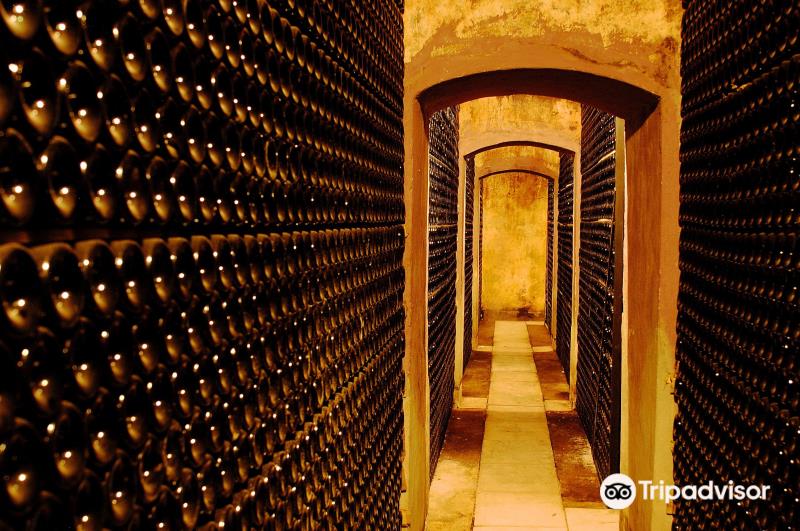 Bodega Pirineos