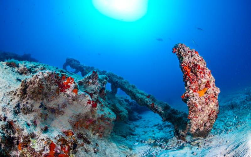 La Graciosa Diving