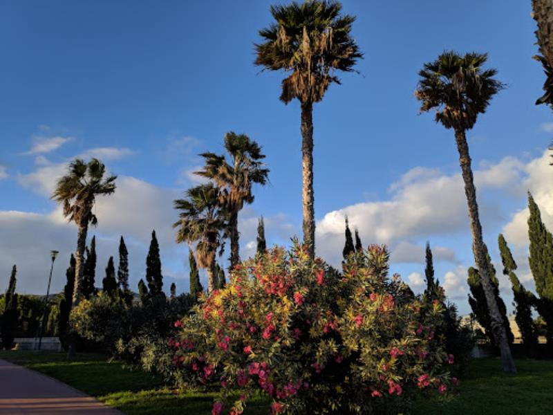 Parque Urbano del Cruce de Arinaga