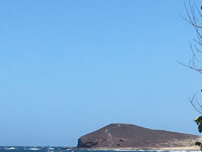 Veinte 04 Surf Cafe