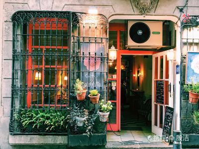 Cafe Camelia
