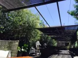 Mimosa Garden