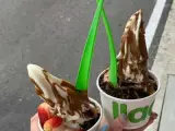 llaollao
